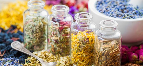 Information about Powerful Healing Herbs