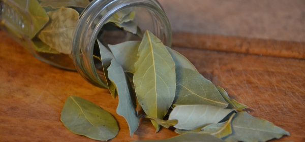 Ayurvedic Benefits of Bay Leaf