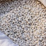 Navy Beans