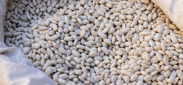 The Health Benefits of Navy Beans